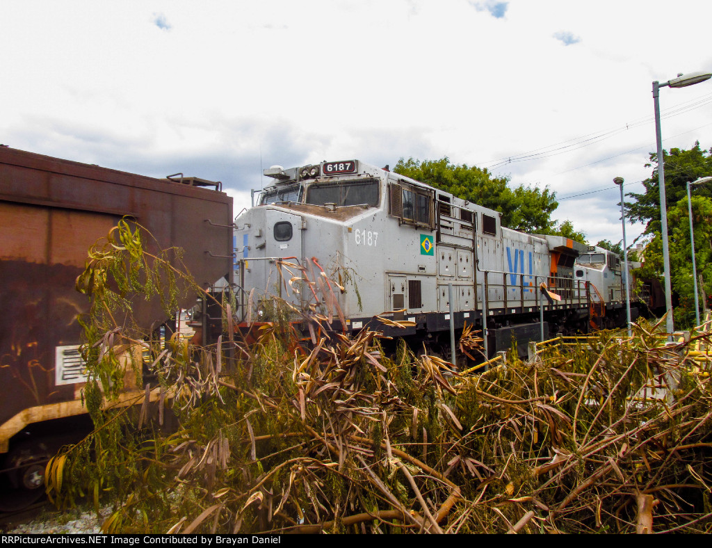 VLI 6187